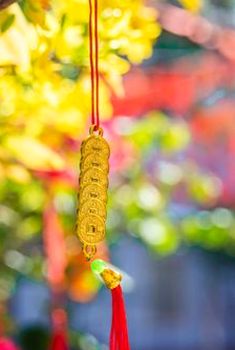 ngân sách chơi bầu cua